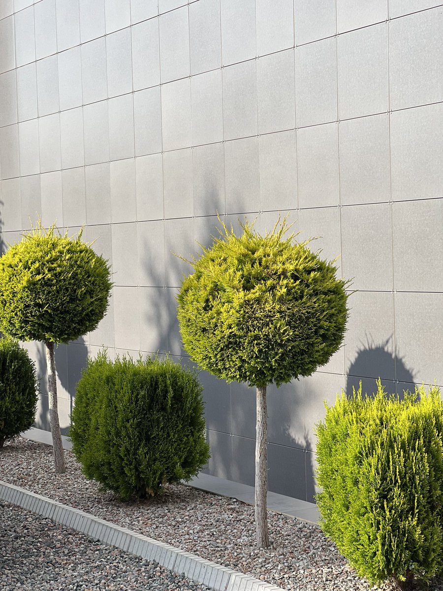 по наводке <a href="/altynai_d/">altynai</a> мы отдыхаем в <a href="/ARTek_kg/">ARTek Иссык-Куль</a>

+ красиво, чисто, аккуратно, классная детская площадка, пляж рядом, супер обслуживание, номер шикарный со всем необходимым (даже посуда вся есть)

- в цену номера не входит питание, даже завтрак💔

кайфуем и ловим дзен🥰