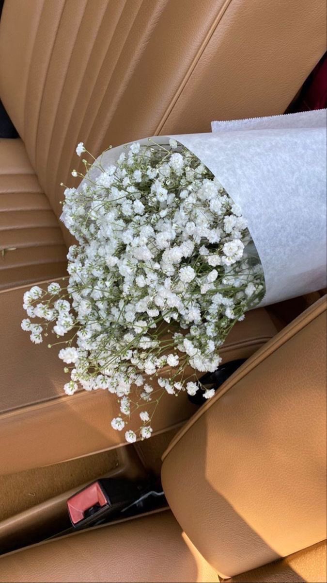 liviuuh's tweet photo. dainty flowers https://t.co/pYOvQQlNOh