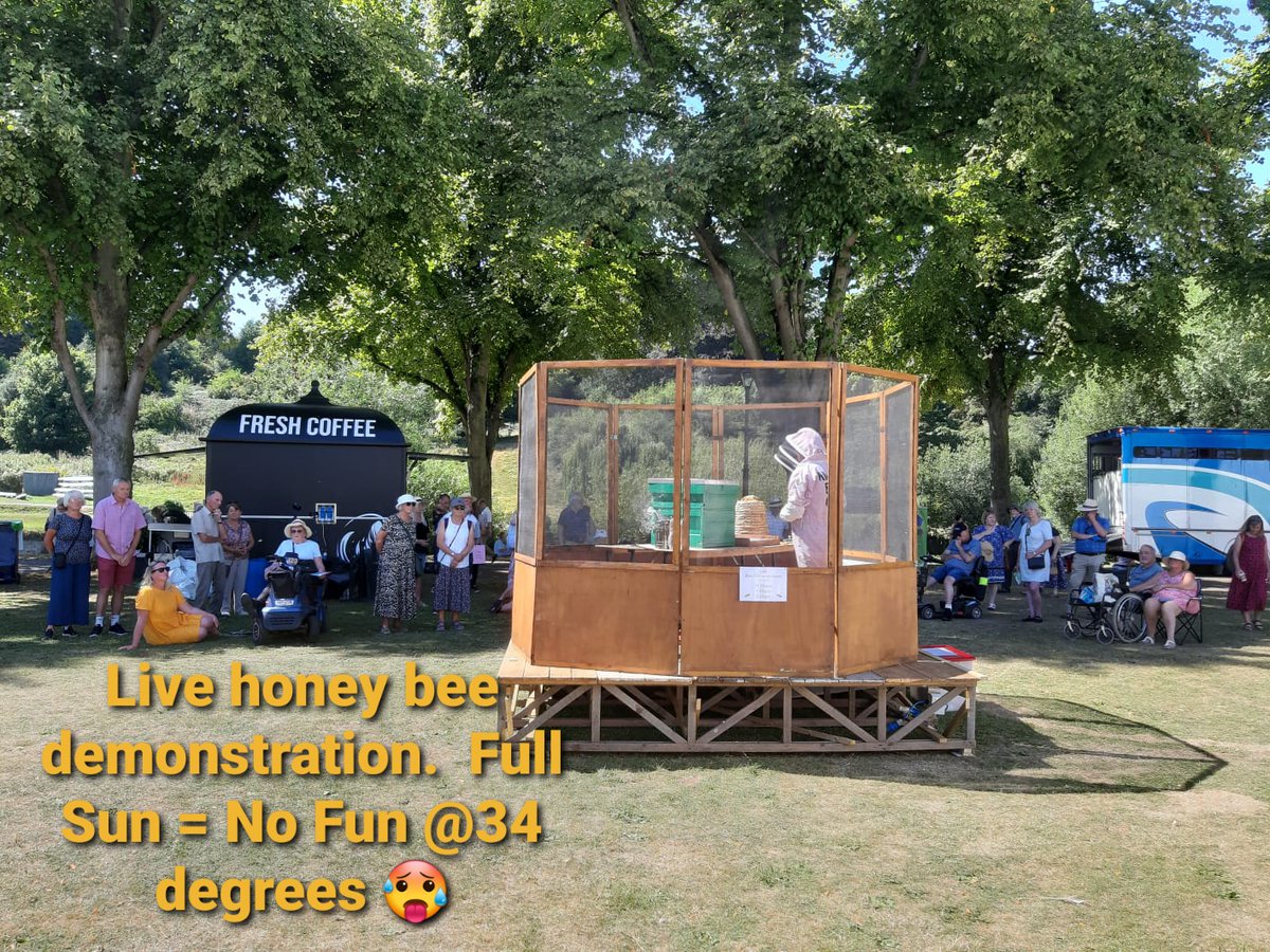 AlisonsBeeClass's tweet photo. I was doing the live honey bee demonstration @ShrewsFlowerShw for @ShropsBKA I was like a wet eel inside my beesuit &amp; I swear I have trench foot this morning after repeated wearing of my soggy wellies 🤮🥵🤣

Next event is next Saturday Minsterley Show Hope to see you there 🤞 https://t.co/8Q86A9TyWZ