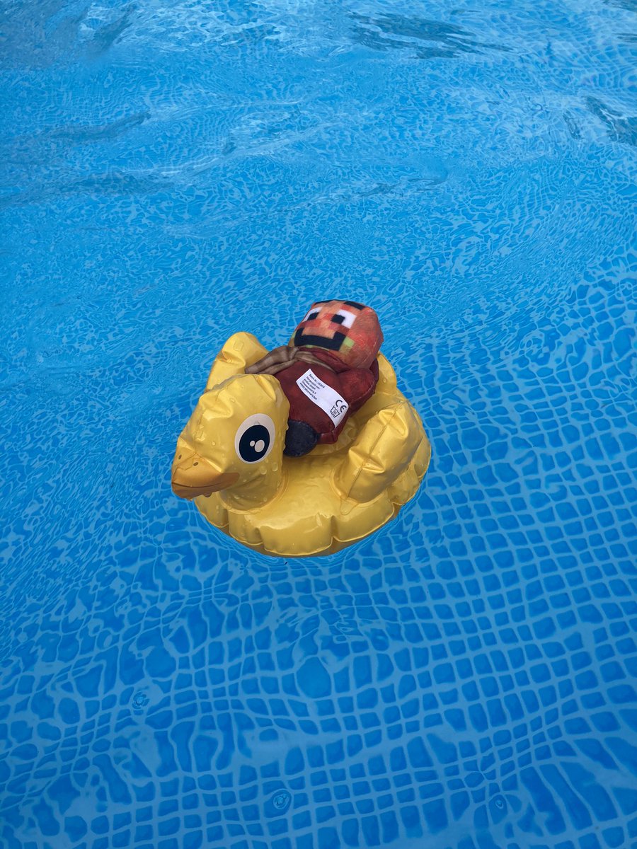 mimi_miri_'s tweet photo. Mini Mini Paluten macht Urlaub im Pool. (Aber nur mit Schwimmhilfe. Er hat noch kein Seepferdchen.) @Paluten https://t.co/KhrRvKnfEv