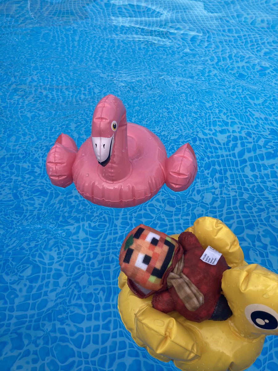 mimi_miri_'s tweet photo. Mini Mini Paluten macht Urlaub im Pool. (Aber nur mit Schwimmhilfe. Er hat noch kein Seepferdchen.) @Paluten https://t.co/KhrRvKnfEv