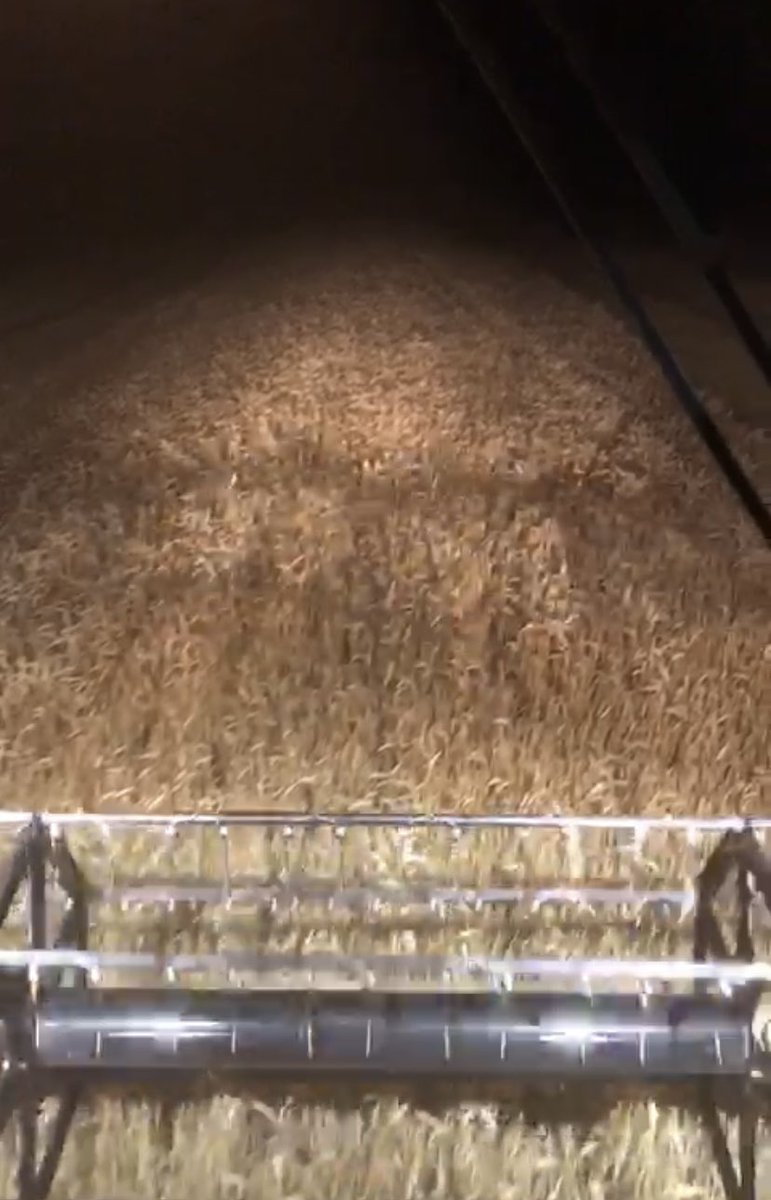 Mary Thomson (@rural_mary) on Twitter photo To my farming friends, family and farmers everywhere working SO hard at all hours this time of year. Thanks to you all 👍 #harvest2022 <a href="/NFUStweets/">NFU Scotland</a> <a href="/scottishfarmer/">The Scottish Farmer</a> <a href="/ScottishFarming/">All Things Farming</a> To my farming friends, family and farmers everywhere working SO hard at all hours this time of year. Thanks to you all 👍 #harvest2022 <a href="/NFUStweets/">NFU Scotland</a> <a href="/scottishfarmer/">The Scottish Farmer</a> <a href="/ScottishFarming/">All Things Farming</a>