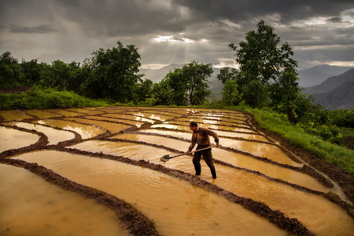 gezer947's tweet photo. Hello Fam ❤️❤️❤️
My new photo is on sale through @foundation
''Rice field workers''
The rice we eat on our tables has a very difficult cultivation process.
1/1 Edition
0.25 ETH
#nftphotography #nftphotographer
#artshare #unknownart
Link⬇️⬇️⬇️ https://t.co/4qZLnaspCy