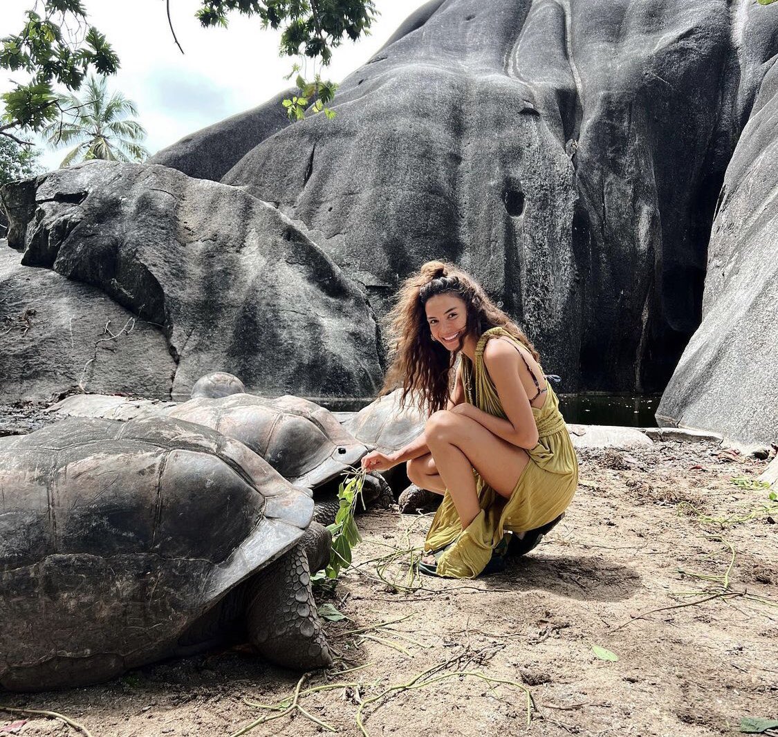 ebrusahinsunsun's tweet photo. "Our honeymoon was very nice, it was both cultural and relaxing
It was a wonderful summer".🥹🍯❤️🔥😍We see from your enthusiasm and happiness that it was truly a wonderful honeymoon #Seyshelles 🐢🐢🐢
🫶🫶😍😍😍 @rebrusahin #EbruŞahin https://t.co/15nhBfBmKz