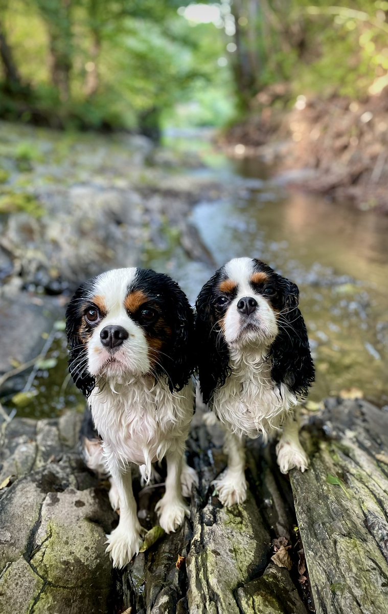 If only everyone looked this cool in the hot weather…