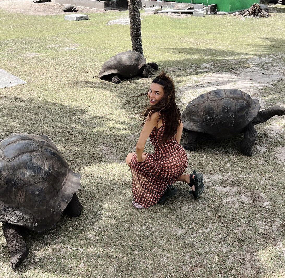 ebrusahinsunsun's tweet photo. "Our honeymoon was very nice, it was both cultural and relaxing
It was a wonderful summer".🥹🍯❤️🔥😍We see from your enthusiasm and happiness that it was truly a wonderful honeymoon #Seyshelles 🐢🐢🐢
🫶🫶😍😍😍 @rebrusahin #EbruŞahin https://t.co/15nhBfBmKz