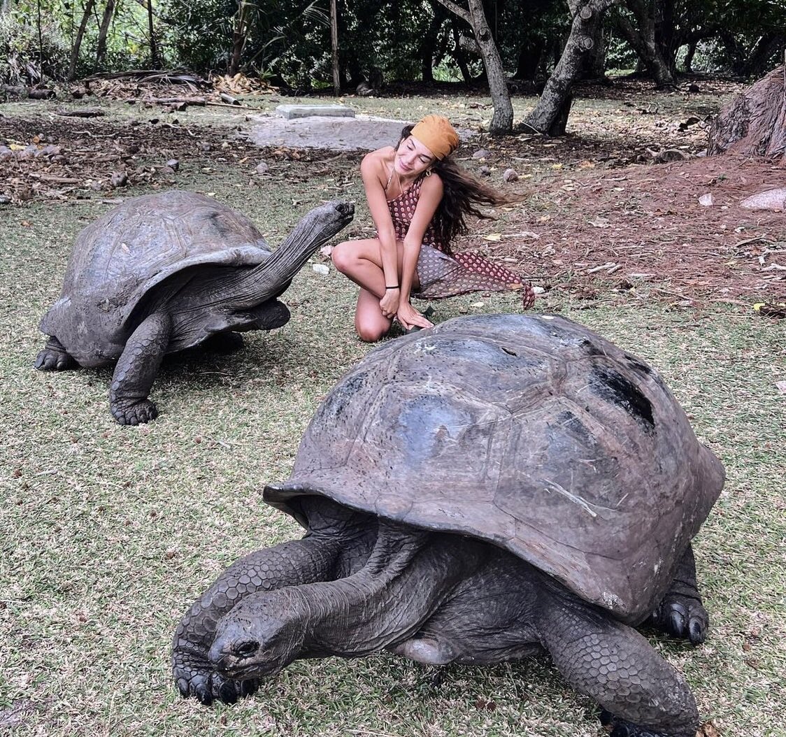 ebrusahinsunsun's tweet photo. "Our honeymoon was very nice, it was both cultural and relaxing
It was a wonderful summer".🥹🍯❤️🔥😍We see from your enthusiasm and happiness that it was truly a wonderful honeymoon #Seyshelles 🐢🐢🐢
🫶🫶😍😍😍 @rebrusahin #EbruŞahin https://t.co/15nhBfBmKz