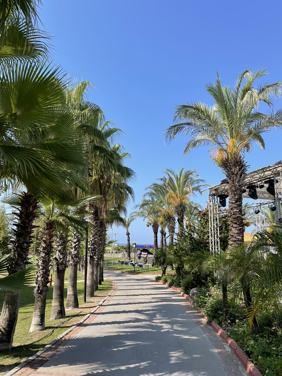 matthill_1988's tweet photo. Having a fab time in Turkey 🇹🇷 🏝🍻😎🍹🍸🍦 https://t.co/u8rhUA3ZRk