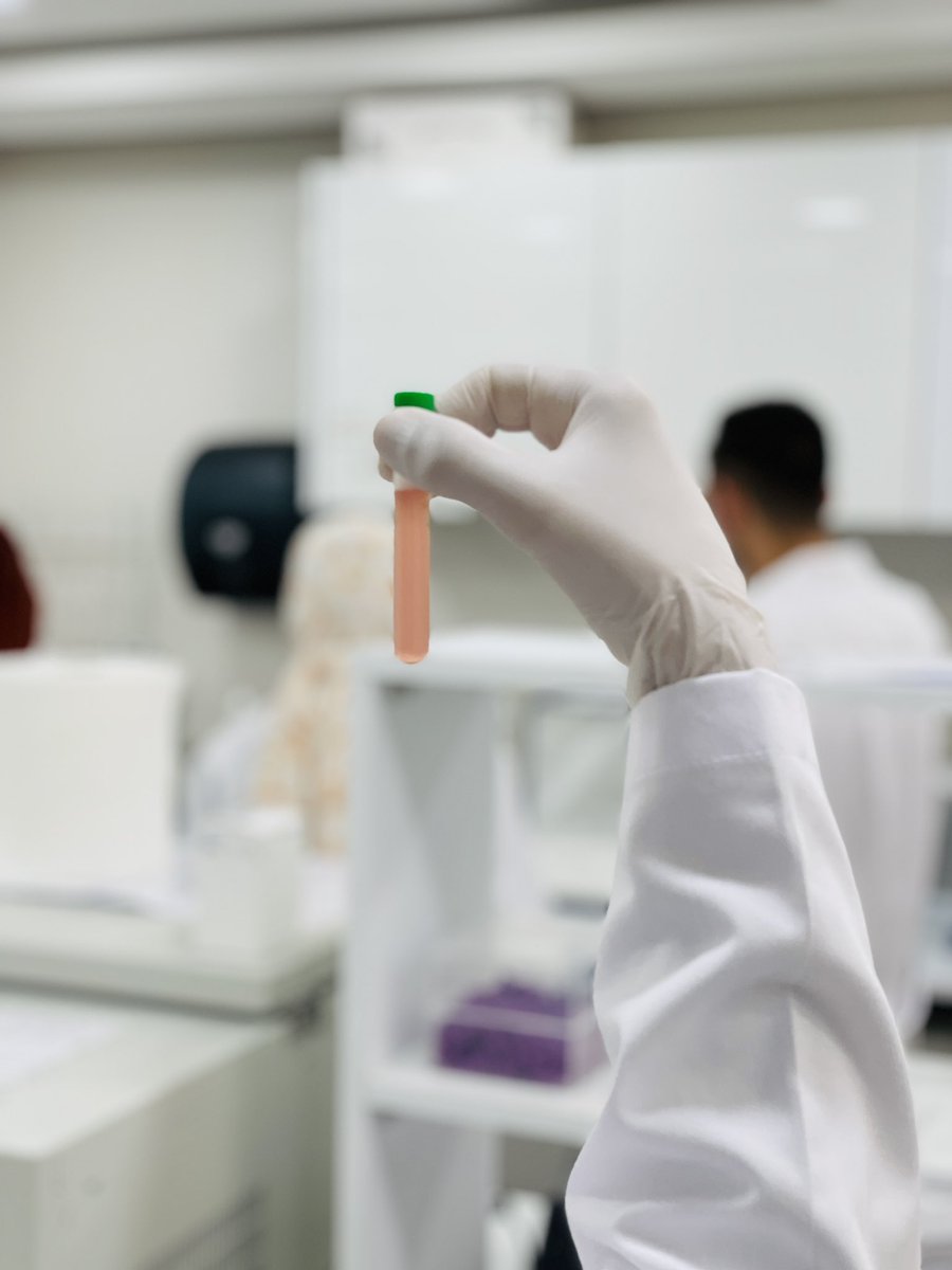 BioCell_Labs's tweet photo. اليوم الثاني من الدورة التدريبية المتخصصة في
الـ Flow Cytometry & Cell Culture
#المركز_الدولي_للابحاث_الطبية_والتدريب #الدكتور_اديب_الزعبي #دورات_تدريبية #العلوم_الطبية_والمخبرية #هندسة_الوراثة #العلوم_الحياتية
#التقنيات_الحيوية #IBRTC #Flow_Cytometry
#Cell_Culture https://t.co/m6jlKpvljS