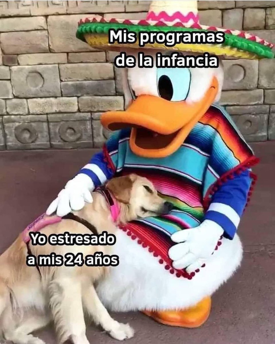 perritos_qctd's tweet image. 