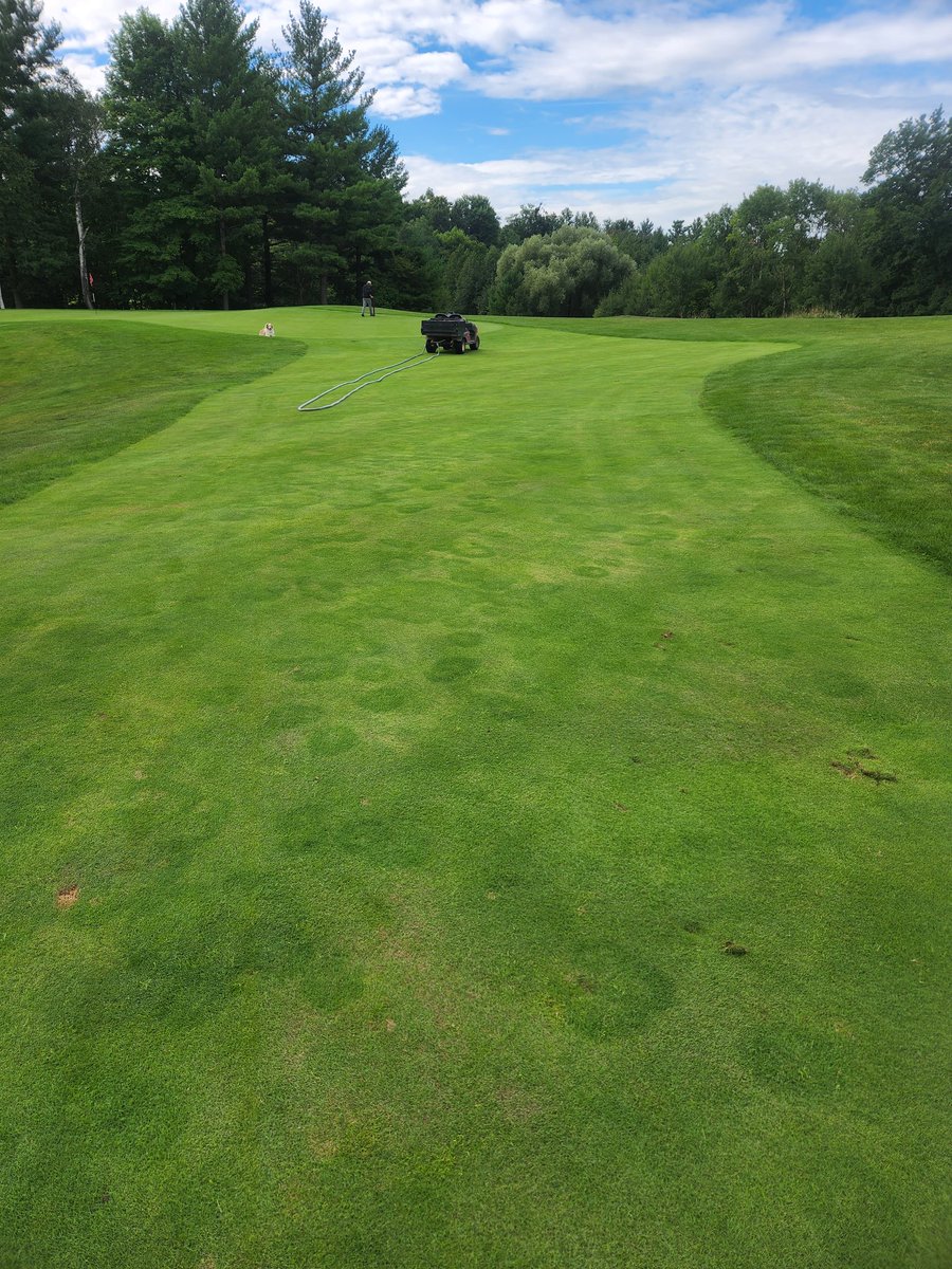 Thoughts Turf Twitter?