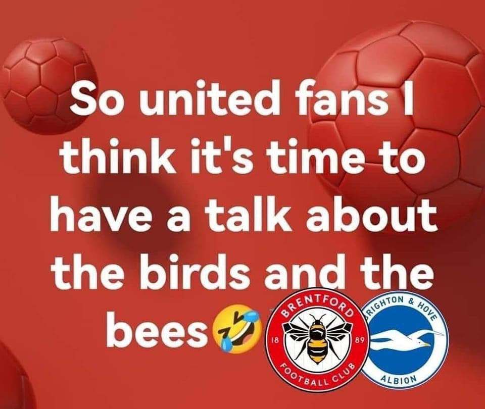 🏴Dave eaststand gooner🏴 tweet media