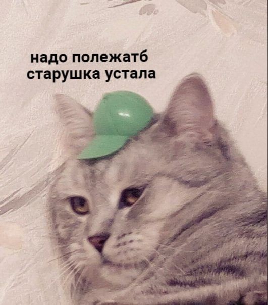 albinos_jaskier's tweet photo. Цвет: Серый🐚

Что угодно рп, а я дам вам цвет, который нужно будет найти у себя в галерее. 

Серого в моей галереи почти нет, это все... 😅
 https://t.co/RS1oAWeNUw https://t.co/7cp7PNjwwF