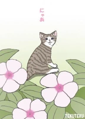 #これを見た人は自分がかわいいと思う画像を1枚貼れ  