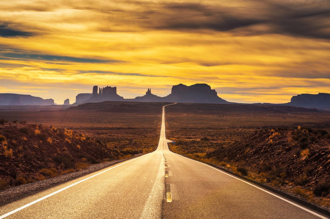 Goyita 🐾🌺☀️ tweet media