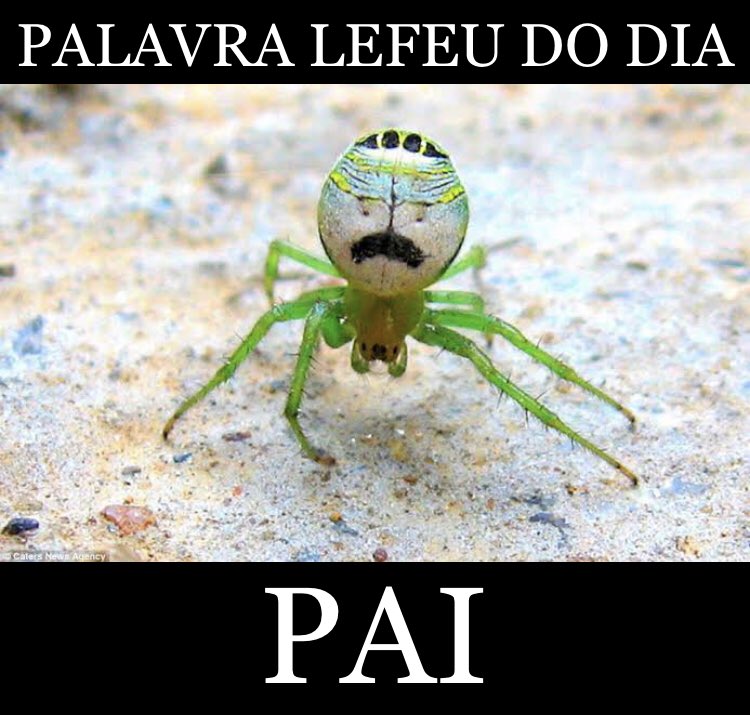 PalavraLefeu's tweet photo. https://t.co/UrXSY7DrHP