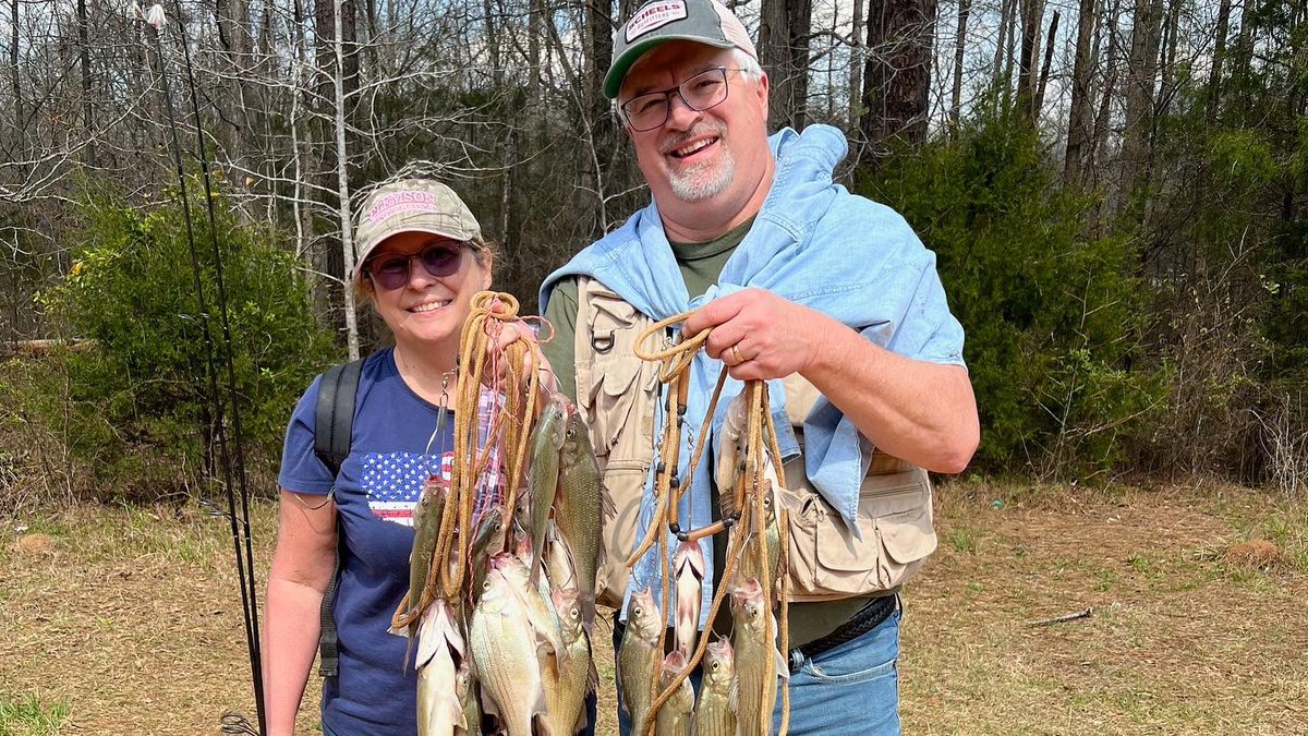 Dale Sellers tweet media