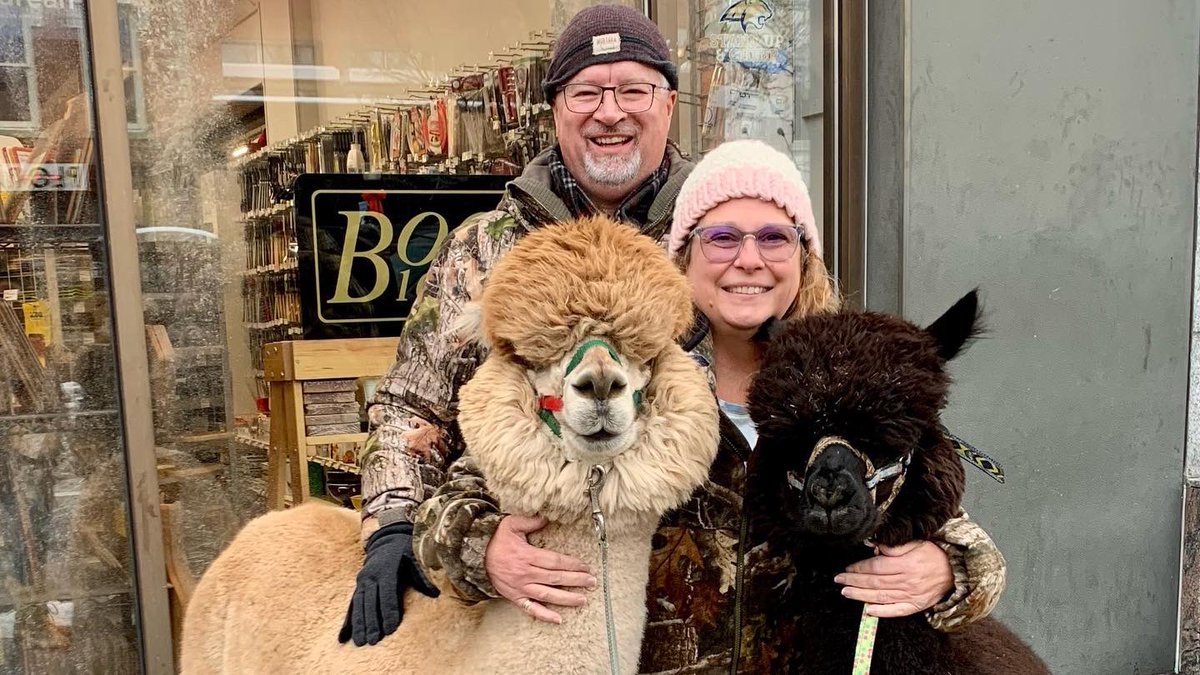 Dale Sellers tweet media