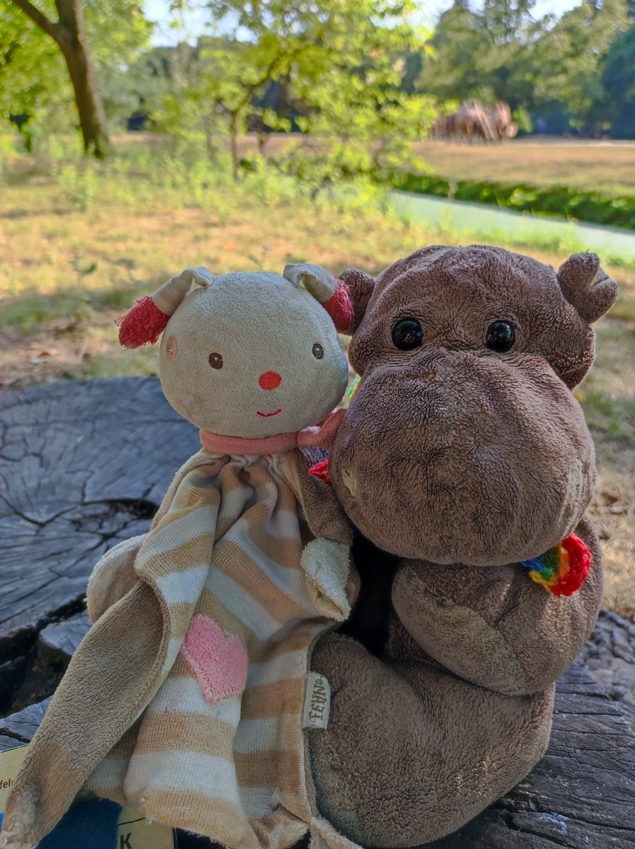 Liebe Twitter-Bande, dieser kleine hier braucht Hilfe, damit er wieder heim findet.
Er wurde im @TierparkBerlin im Affenhaus gefunden.
Wir haben ihn ein Stück mitgenommen, auf ihn aufgepasst und ihn dann am Eingang beim Service abgegeben.  ❤️