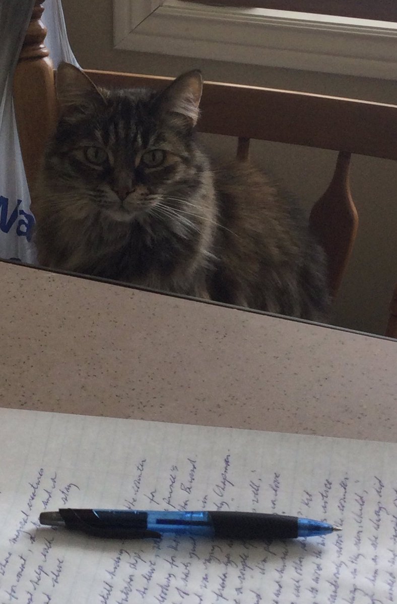 lmbayley's tweet image. It&apos;s good to have help. #amwriting #FlashFictionChallenge2022