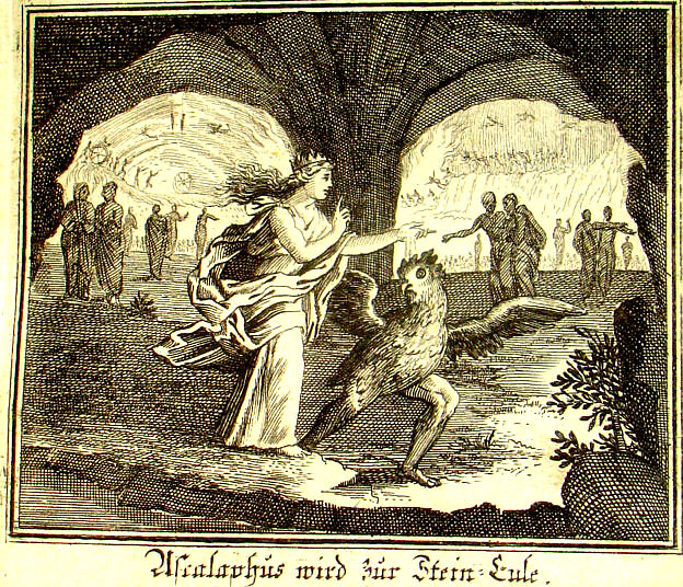antinousgaygod's tweet photo. 🪷 14 Aug #LizardDay We remember #Ascalaphus the demon boy who informed Hades #Persephone had eaten a pomegranate. #Demeter turned Ascalaphus into a lizard & an owl. Ovid writes: "Poor Ascalaphus was punished for telling the truth when asked to do so." https://t.co/JqYw4Org4w 🪷 https://t.co/WBmVDWrpZZ