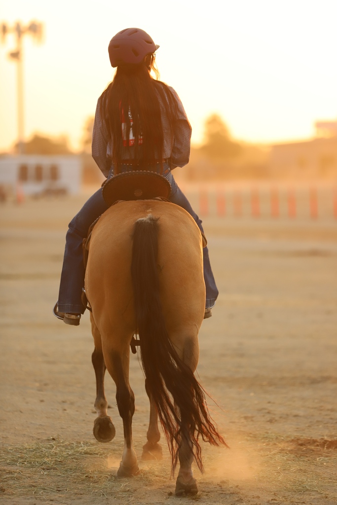 TroxelHelmets's tweet photo. Be tough, ambitious, know what you want, and never forget who you are 🌟
#troxelhelmets #troxel #helmets #equestrianhelmet #safetymatters #helmetsafety #ridewithtroxel https://t.co/vCIQZqLOqn