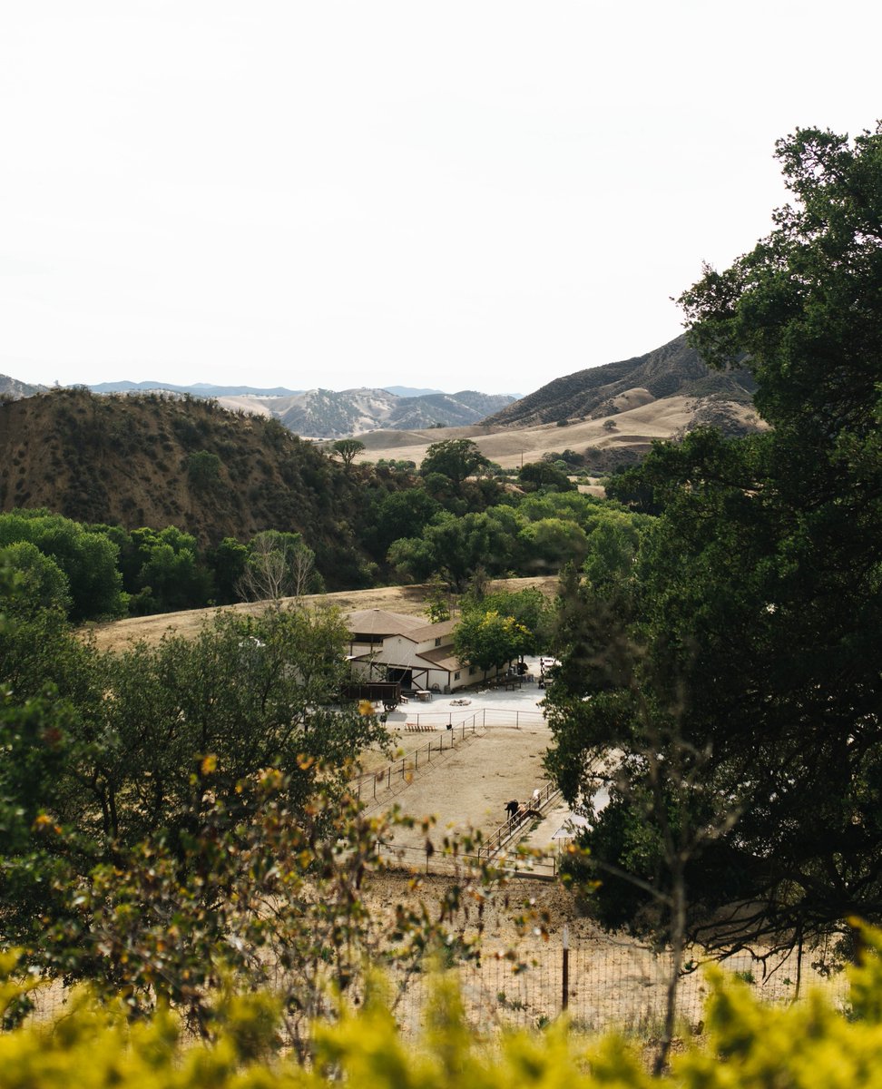 barszranch's tweet image. Looking to host your next event in the iconic California oak trees and golden hills?

Email us at relax@barszranch.com or click the link to speak with our team about event options and pricing barszranch.com/contact-us