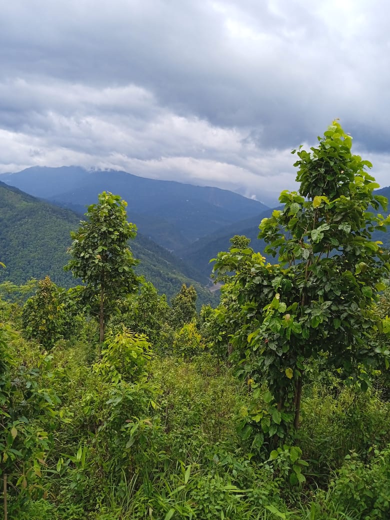 provat (@provat_sur9736) on Twitter photo 