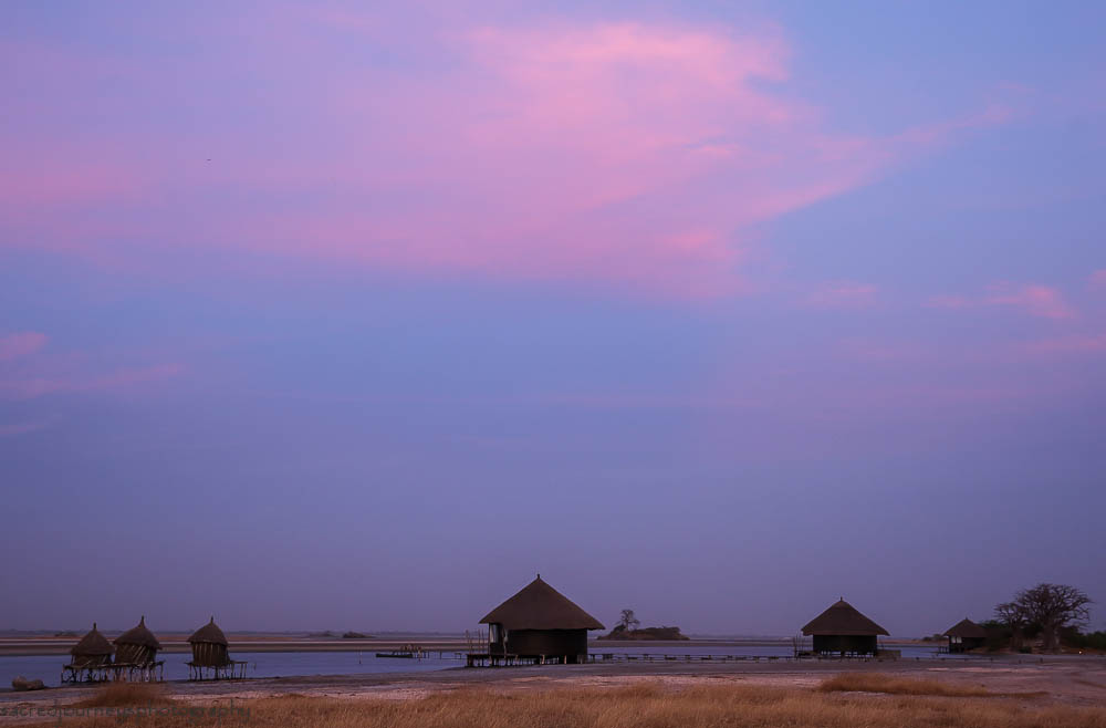 khalsahealing's tweet photo. @AFARmedia ECO LODGE PALMARIN, SENEGAL isn't new, although it holds a timeless energy of stillness and solitude.
https://t.co/dgVz4jBUN0 https://t.co/QzrAFtZeVF