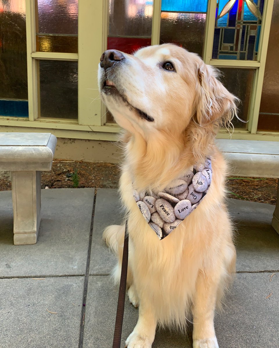 “I lift up my eyes to the mountains—where does my help come from? My help comes from the LORD, the Maker of heaven and earth” Psalm 121: 1-2 🙏 Happy Sunday!