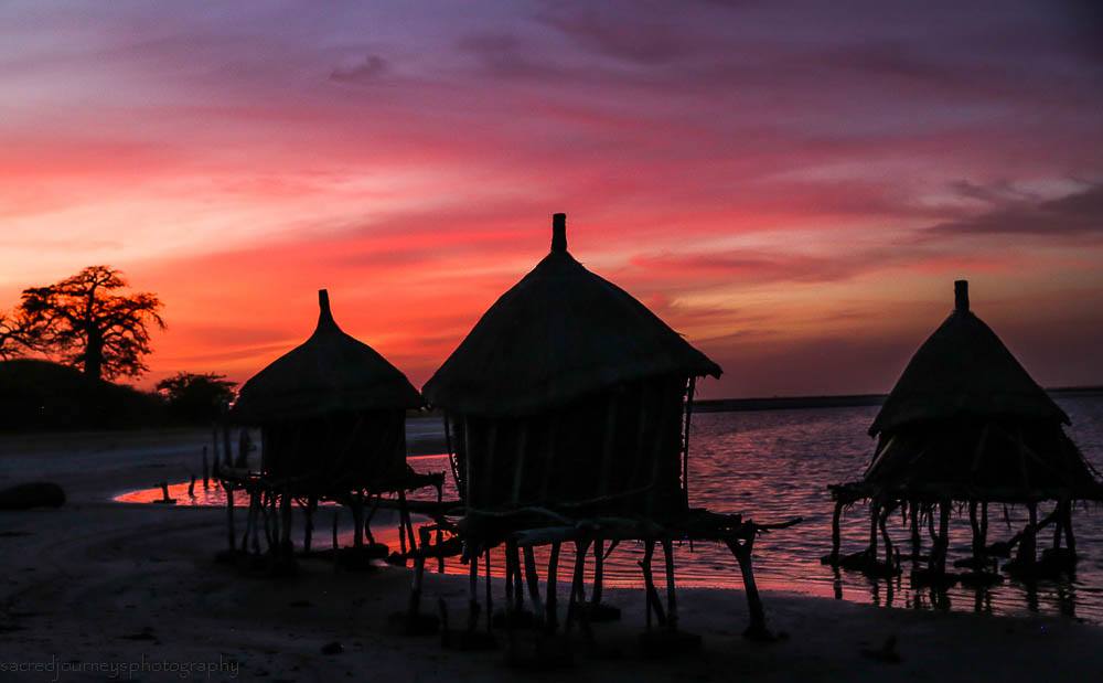 khalsahealing's tweet photo. @AFARmedia ECO LODGE PALMARIN, SENEGAL isn't new, although it holds a timeless energy of stillness and solitude.
https://t.co/dgVz4jBUN0 https://t.co/QzrAFtZeVF