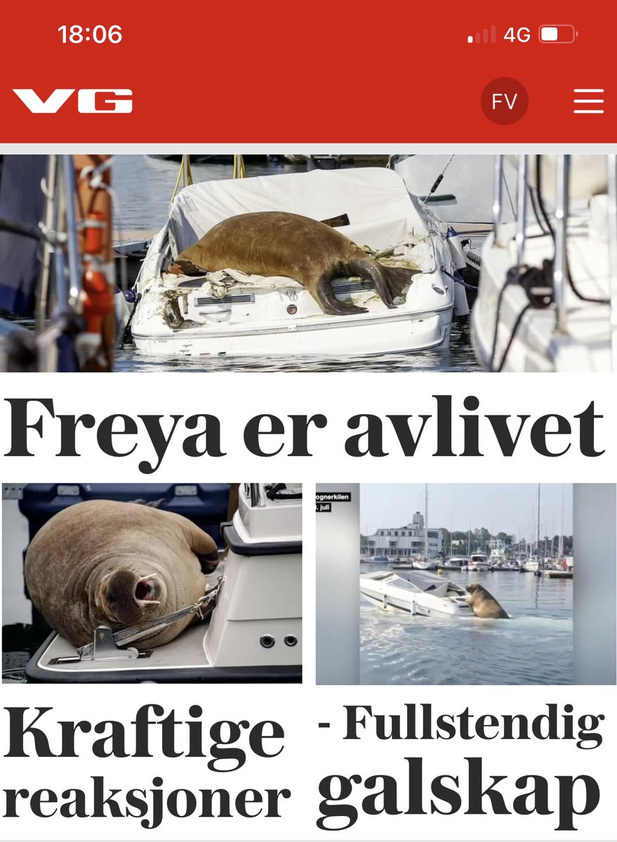 frida1801's tweet photo. Drept av sitt publikum😭 ikke ett dyr som var til fare for mennesker (som holdt avstand), men menneskene var til fare for dyret💔 https://t.co/JXm8GEPieN