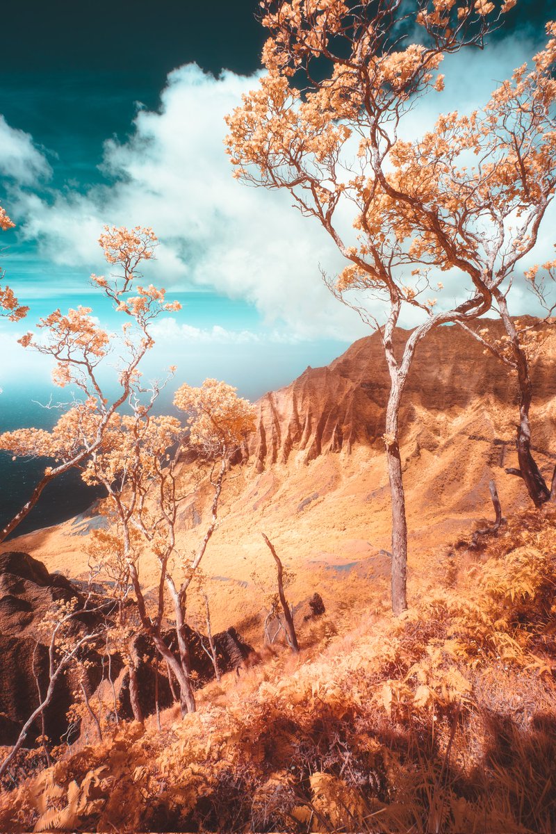 Zach Doehler tweet media