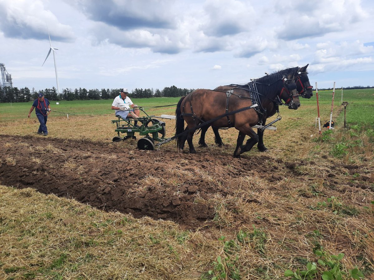 CKPlowing's tweet image. Thank you to host farmer @jimdebrouwer, all plowmen, judge Steve Speller and everyone who came out to the 85th Annual C-K Plowing Match yesterday! Save the date for next year - August 12th, 2023.