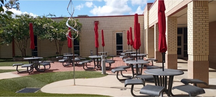 Rice Elementary tweet media