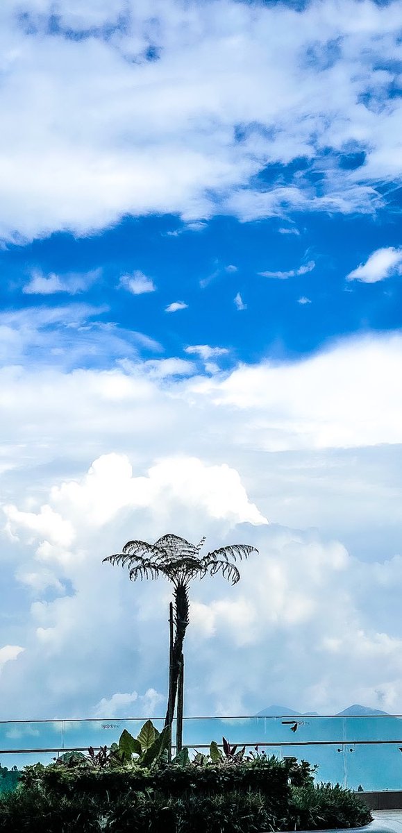 Veranda (@iclassyy_) on Twitter photo 