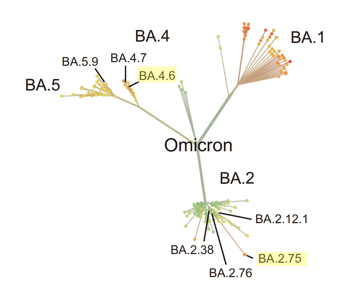 Eric Topol tweet media