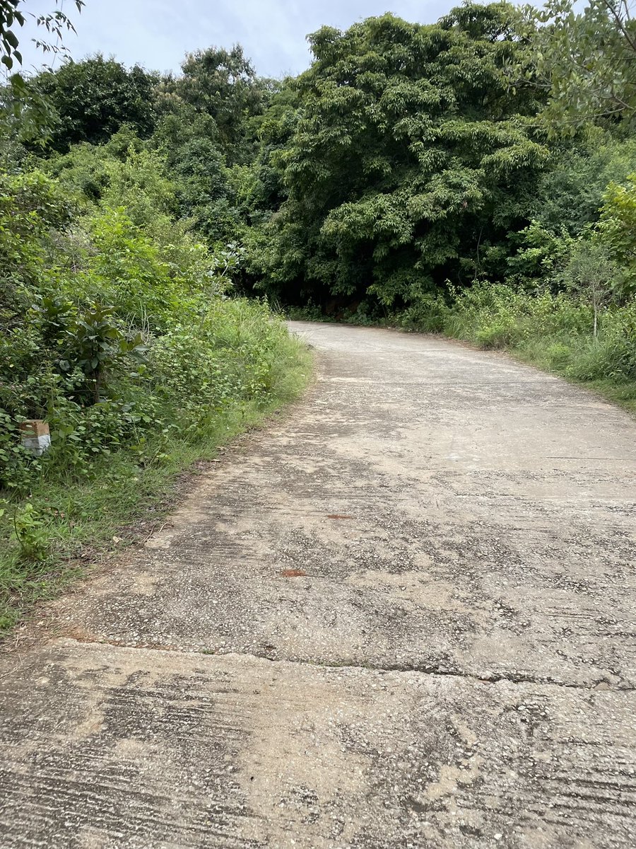 SapOpine's tweet photo. Trekking shenanigans in Bengaluru! 🥾🚶‍♀️😄

#AvalabettaTrek https://t.co/lSxkJGKN7n
