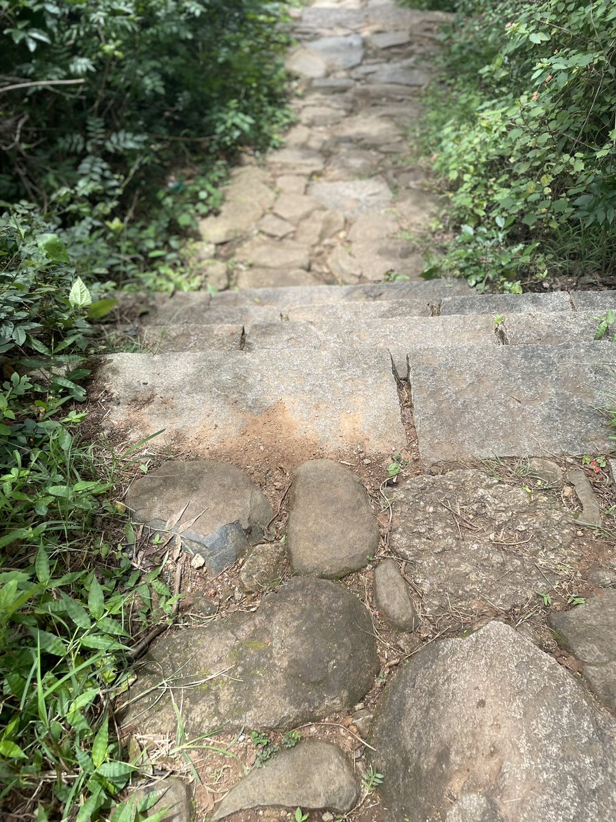 SapOpine's tweet photo. Trekking shenanigans in Bengaluru! 🥾🚶‍♀️😄

#AvalabettaTrek https://t.co/lSxkJGKN7n