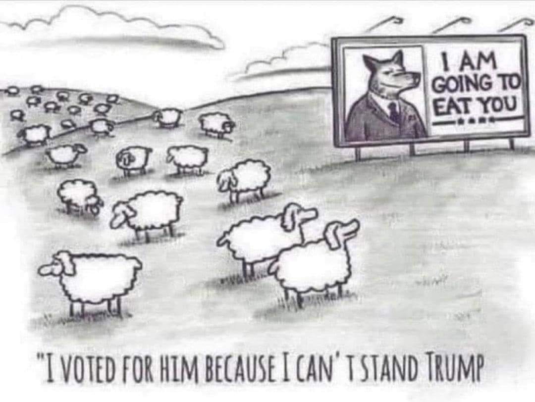 FlyboyEd's tweet image. Orange man bad right?