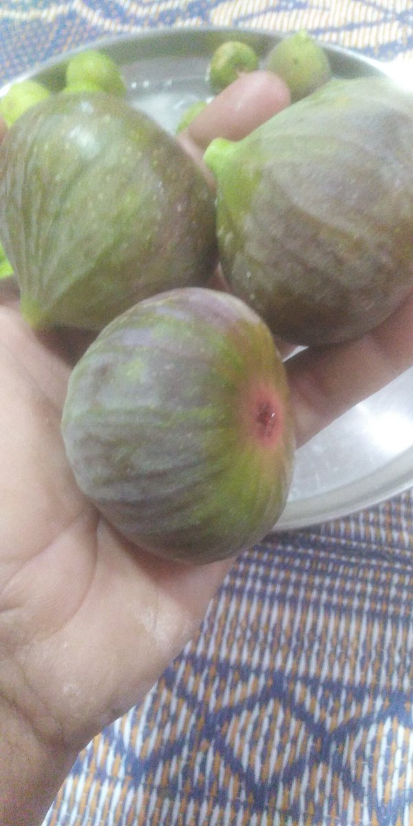 بقيت ولم تفارق انفاسي تلك الرائحه الزكيه التي تفوح من جلبابها الزكي ويخيل لي ان جميع العطور صنعت من تلك الرائحه