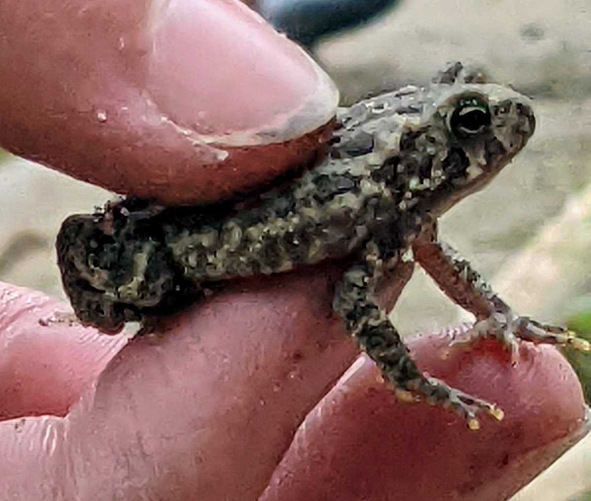 Alan Langman🇺🇦 tweet media