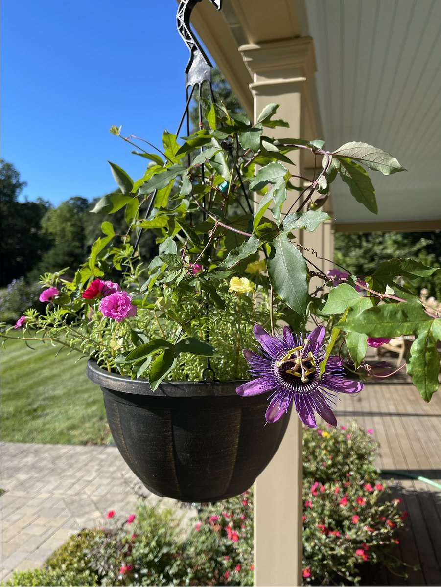 Cyndi Stivers tweet media