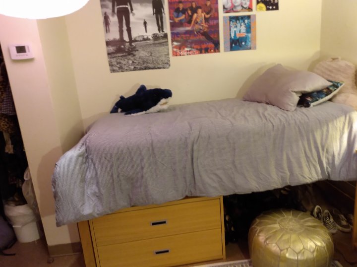 HannahJoyce00's tweet photo. @danielhowell Senior year dorm decor ✨ https://t.co/kabvl8L66w