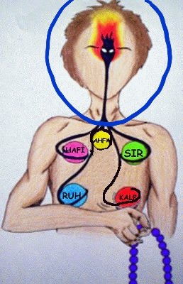 Mehmet_o_g_g_'s tweet photo. DİKKAT DİKKAT ❗❗❗
İNSAN.. ET VE KEMİKTEN İBÂRET DEĞİLDİR. BİNLERCE MÂNEVÎ , RÛHÂNÎ MAKİNASI VARDIR. BUNLARA ŞEYTÂNİRRACÎM DENİR. VE NEFSİN KOLLARINDA HAPSOLMUŞTUR. VE NEFİS + 5 TÂNE LETÂİF VARDIR. LETÂİFLERDE NEFSİN ELİNDEDİR. SOFİ OLMADIĞINIZ SÜRECE TEMİZLENEMEZSİNİZ
⬇️⬇️ https://t.co/Cms5uTwhcp