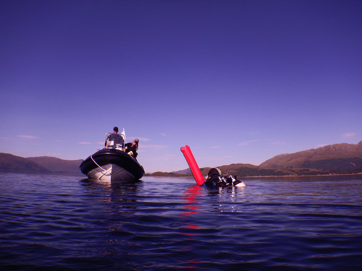 CatrionaHoon's tweet photo. Stunning day out on/in the water yesterday diving with #HISAC in the #FirthofLorn @BSACdivers #scubadiving #Scotland #sealife #Octopus 🥰💧🐙👌🏻😎😃🦀 https://t.co/uc3q6oErMf