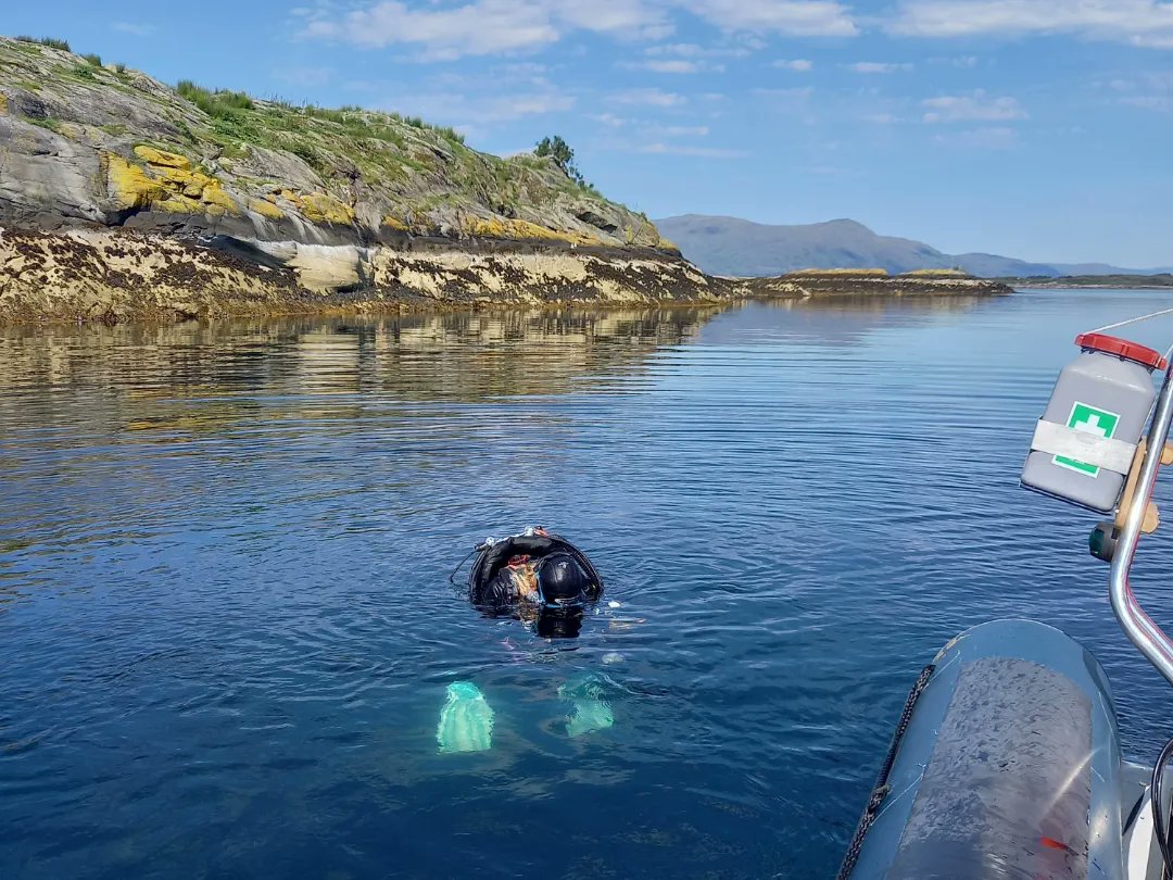 CatrionaHoon's tweet photo. Stunning day out on/in the water yesterday diving with #HISAC in the #FirthofLorn @BSACdivers #scubadiving #Scotland #sealife #Octopus 🥰💧🐙👌🏻😎😃🦀 https://t.co/uc3q6oErMf