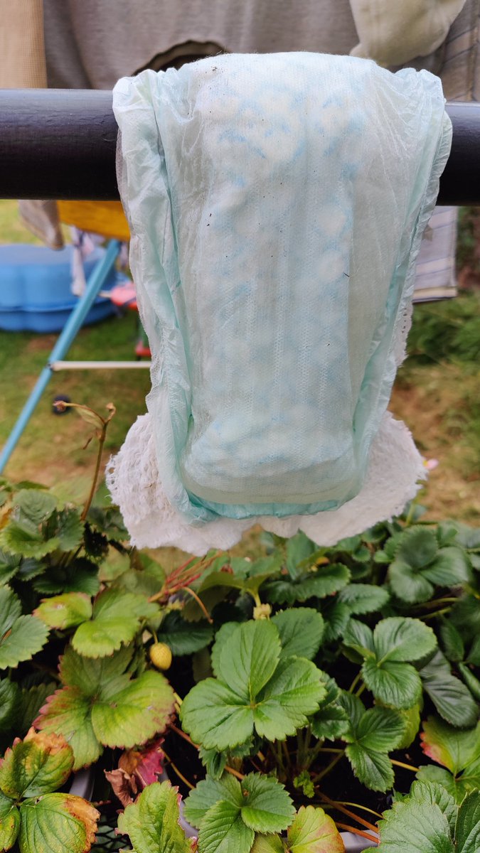 dj_ez_sock's tweet photo. Times are right
putting the #pullup #easyup #nappies out to dry in this heat
After kids have been in the garden shell paddle pool 😁😁😁
#pampers #huggies please send urgent supplies I think we are soaking up all the UK's water lol
😁😁😁😁😁😁😁😁😁😁😁
#funny #jokes https://t.co/ZtGWCd1Qmp