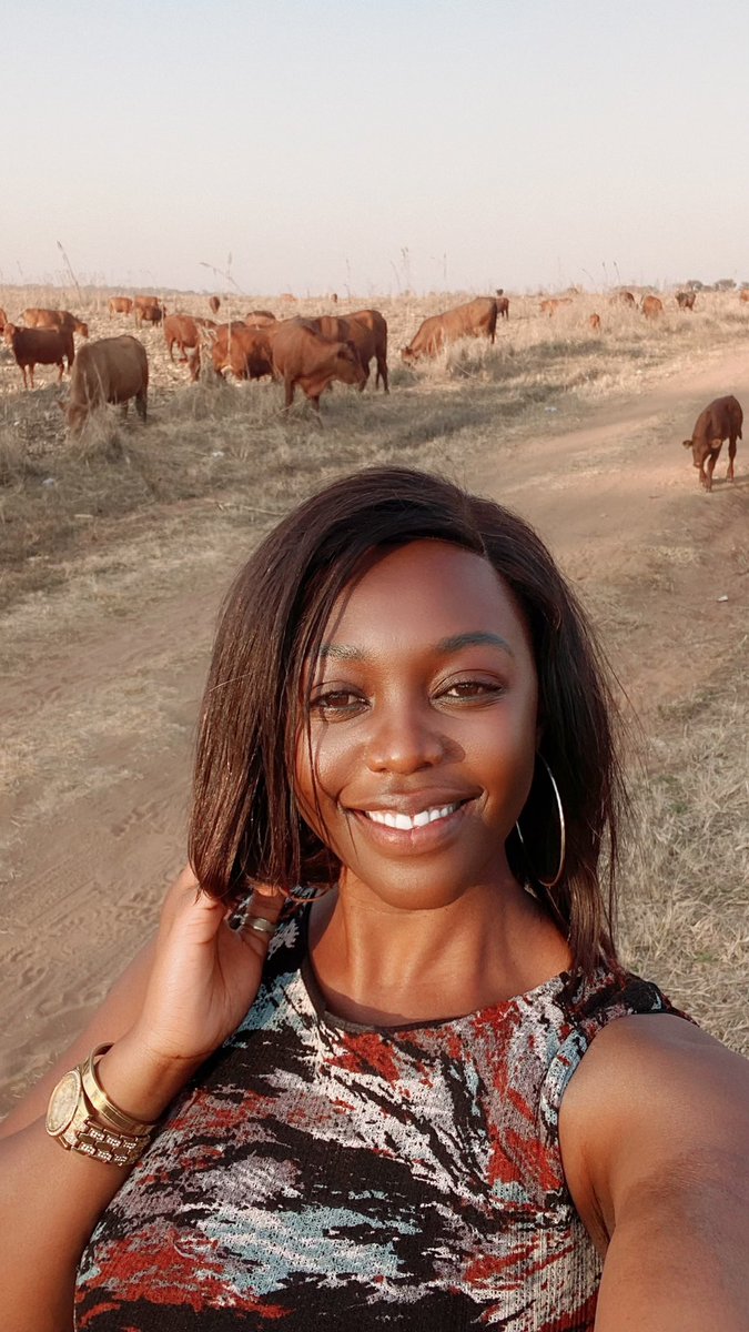 agribusiness110's tweet photo. It’s summer again and so we hang out with the 🐂🐂🐂 https://t.co/6KzLckk6i5