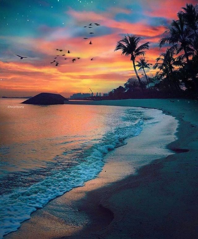 Good evening